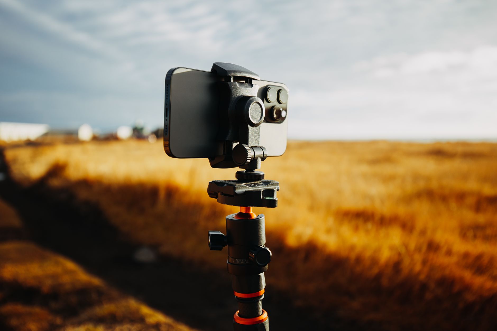 Smartfon na statywie fotografuje złote pole pod jasnym niebem